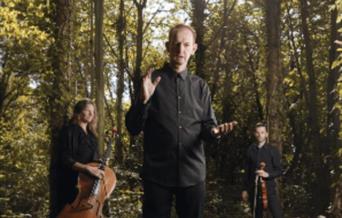 Cellist and violinist set in a forest