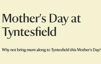 Mother's Day at Tyntesfield