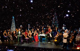 Viennese Strauss Christmas Gala