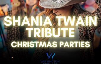 Shania Twain Christmas Party