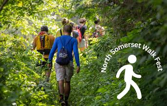 A group of ramblers on a narrow wooded footpath