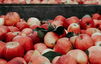 Wassail - apples