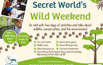 Wild Weekend Advertising Poster