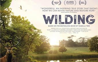 Movie poster of a stag in the foreground of a country estate