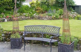 Willow weaving workshop in Taunton