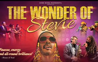 The Wonder of Stevie