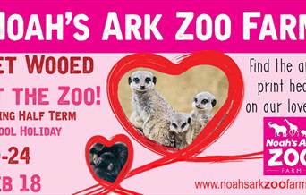 Woo at the Zoo