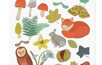 Crafty Cats - Woodland Wonders