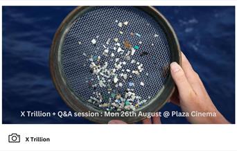 Sieve containing microplastics