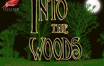 Into The Woods