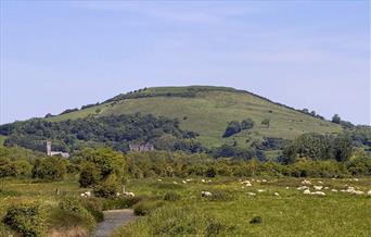 Brent Knoll Landscape