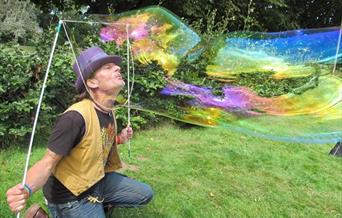 Balloons, Birds and Bubbles Family Fun Day