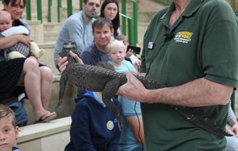 October Half Term Critters Week