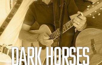 dark horse band