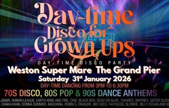 Day Disco for grown ups poster