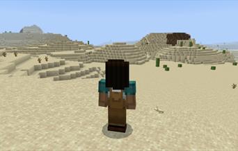 Minecraft workshop for children