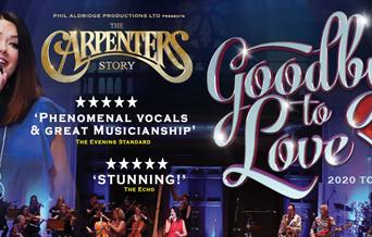 The Carpenters Story