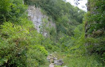 Ebbor Gorge