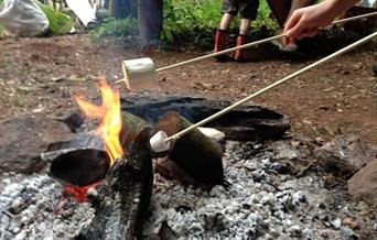 Fire and Food