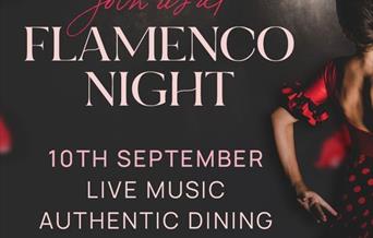 Flamenco Night at Il Michelangelos