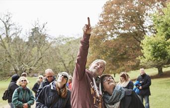 Golden tree walks at Tyntesfield