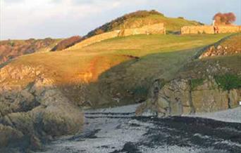 Guided Walk - Pteridomania in Victorian Weston