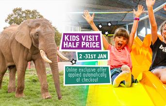 Kids Visit Half Price January