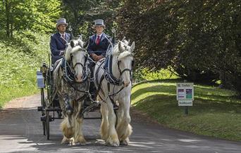 Victorian Horse and Carriage Rides at Tyntesfield