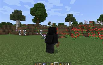 Minecraft image of a forest with a Minecraft character.
