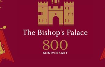 Palace 800: Pageant
