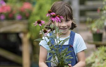Hestercombe Plant Fair