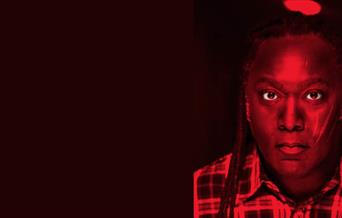 reginald d hunter weston-super-mare playhouse facing the beast tour