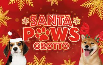 Santa Paws Grotto poster
