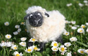 "Sheep" Needle Felting Workshop