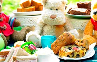 Tiny Tea Parties Presents: Teddy Bear's Picnic