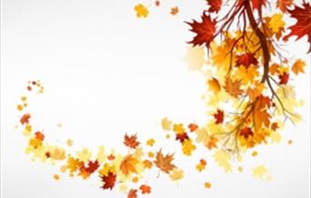 Half-Term Free Family 'Art with Leaves' Workshop