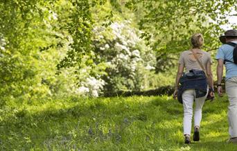 Seasonal boundary walks at Tyntesfield