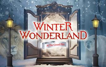 snowy background showing polar bears and wardrobe, text reads winter wonderland