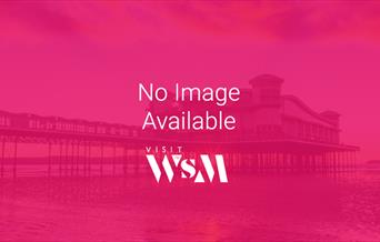 The Ultimate Eggventure