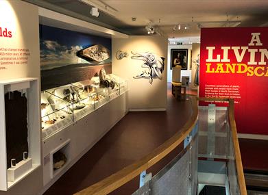 Weston Museum - Museum in Weston-super-Mare, Weston-super-Mare - Visit ...