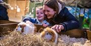 Small animal meet and greet with a mother and son