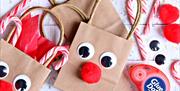 Raindeer gift bag, Christmas