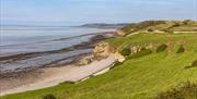 A green field looking down onto a shingle beach