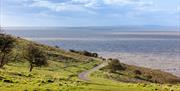 View of a grassy hill overlooking the sea with two people walking on a winding footpath