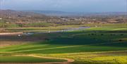 Aerial view across sunny and shady fields leading to an estuary with hills in the background