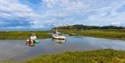 A view of small boats in an inlet surrounded by reeds