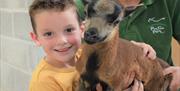 Child cuddling a goat at Puxton Park