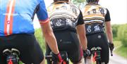 Back view of 3 cyclists