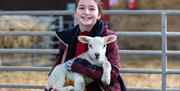 A girl sitting in front of a five-bar farm gate nursing a lamb on her lap at the Court Farm visitor attraction in Weston-super-Mare