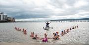 A V-shaped group of synchronised swimmers in the water with a male on a platform as the centrepiece